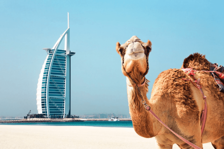Сколько стоит тур в Арабские Эмираты?